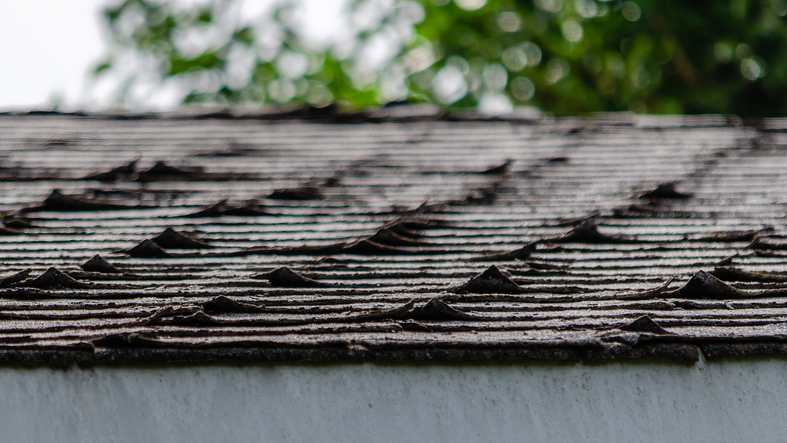 how to spot roof damage winnipeg